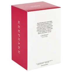 Hallmark Father Christmas Ornament -Hallmark Shop Father Christmas With Toy Bag Keepsake Ornament 2499QXR8137 05