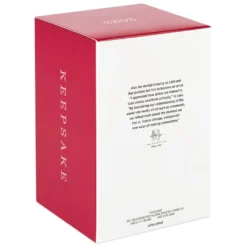 Hallmark Disney Peter Pan's Flight Off To Never Land! Ornament -Hallmark Shop Mickey Peter Pan Pirate Ship Keepsake Ornament 2199QXD6569 05